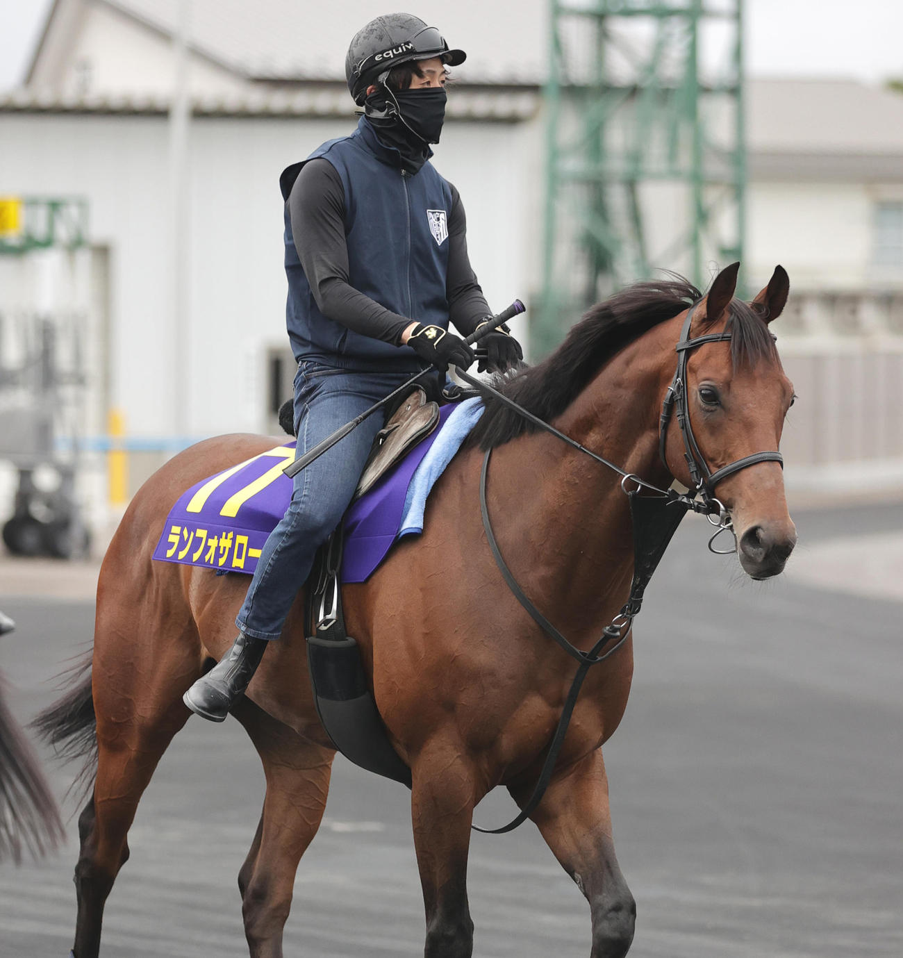 函館競馬場で調整するランフォザローゼス