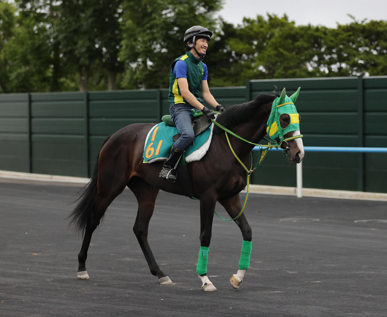 2歳重賞制覇に向けて、函館競馬場で調整を積むミスヨコハマ
