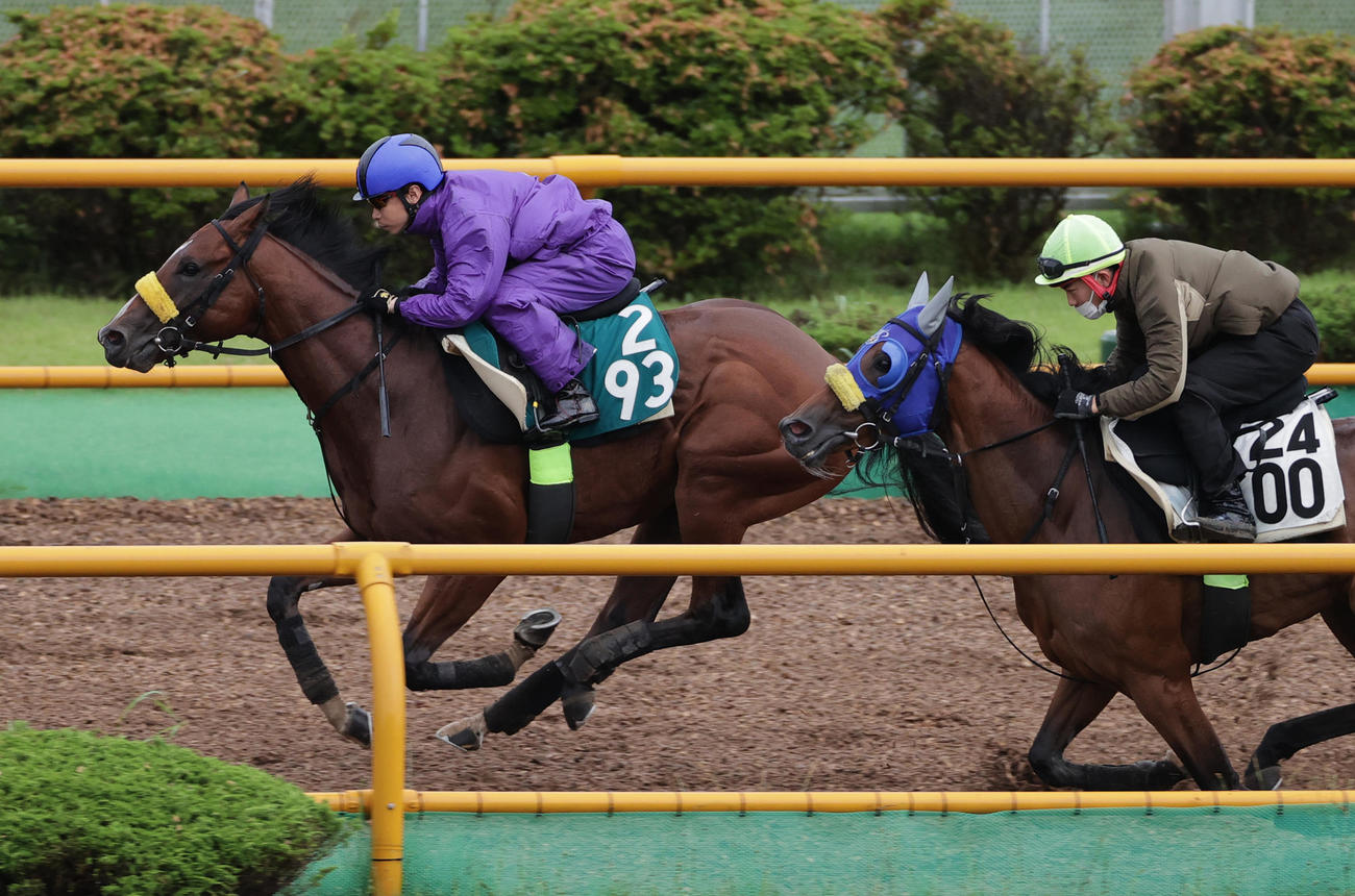 池添謙一騎手を背に、函館ウッドチップコースで併せ馬で追い切られるミシェラドラータ（左）