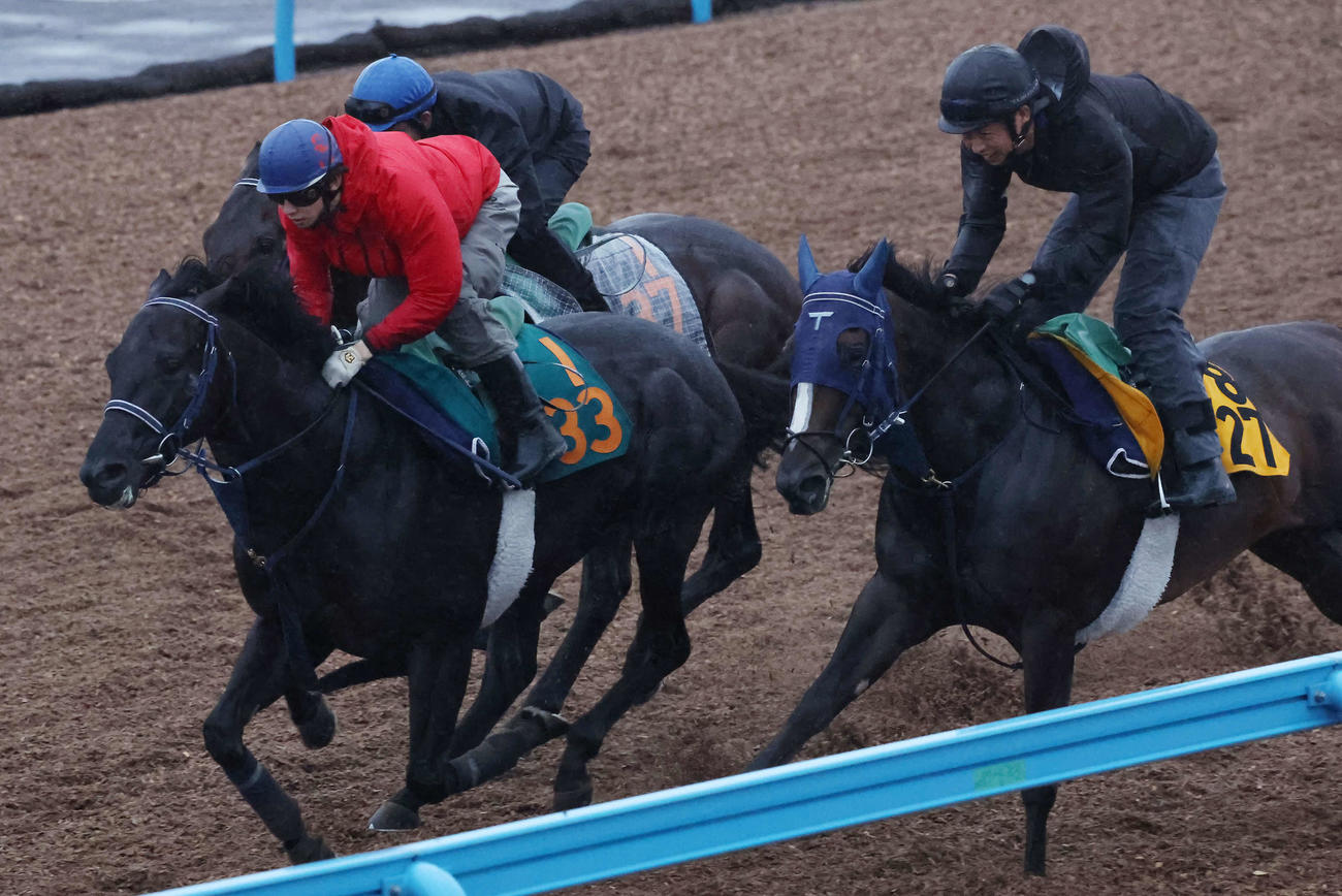 ヤングローゼス（中央）は嶋田騎手を背に美浦ウッドを3頭併せで追い切られた（撮影・丹羽敏通）