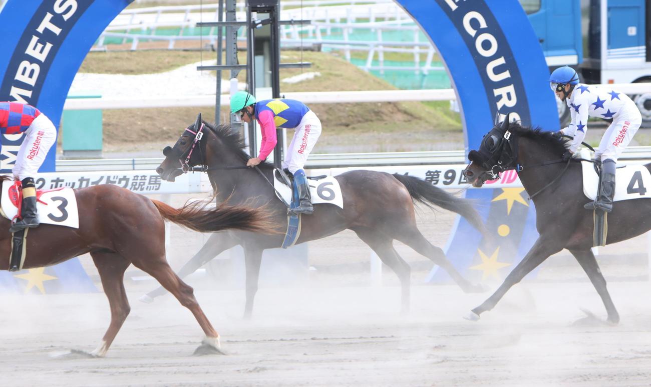 デビュー2戦目9着に終わったオマタセシマシタ（撮影・奥村晶治）
