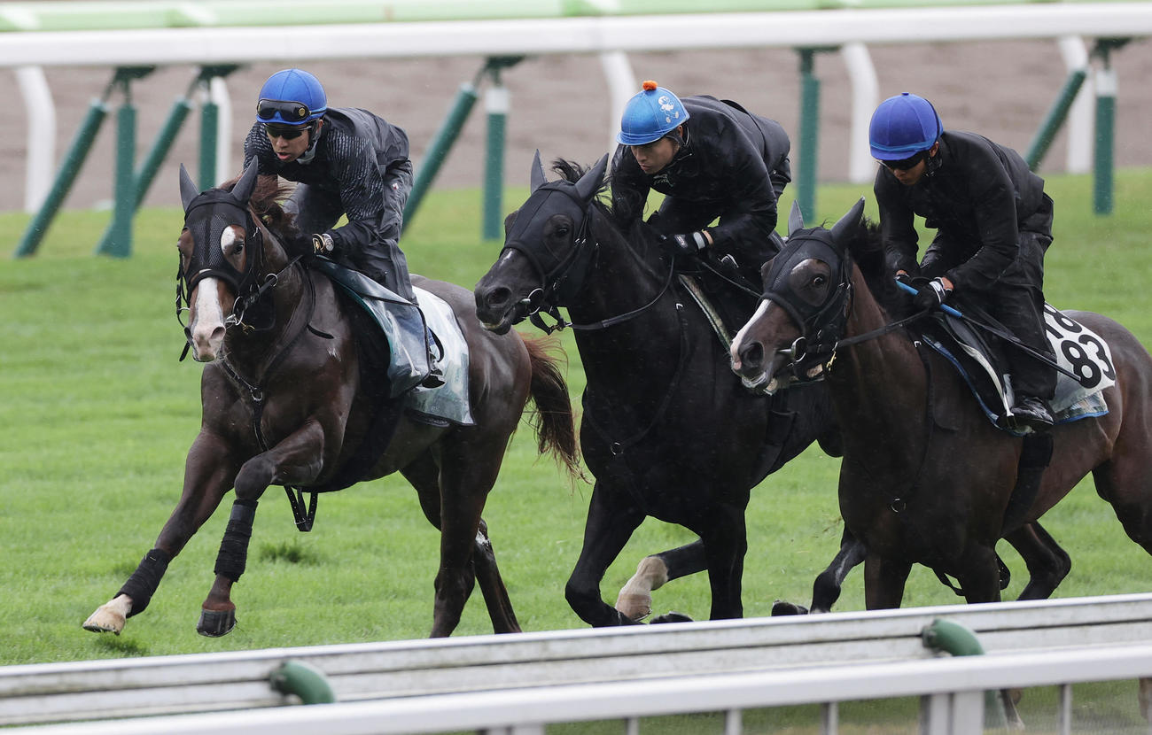 武豊騎手を背に、函館芝コースで併せ馬で追い切られるクリダーム（左端）