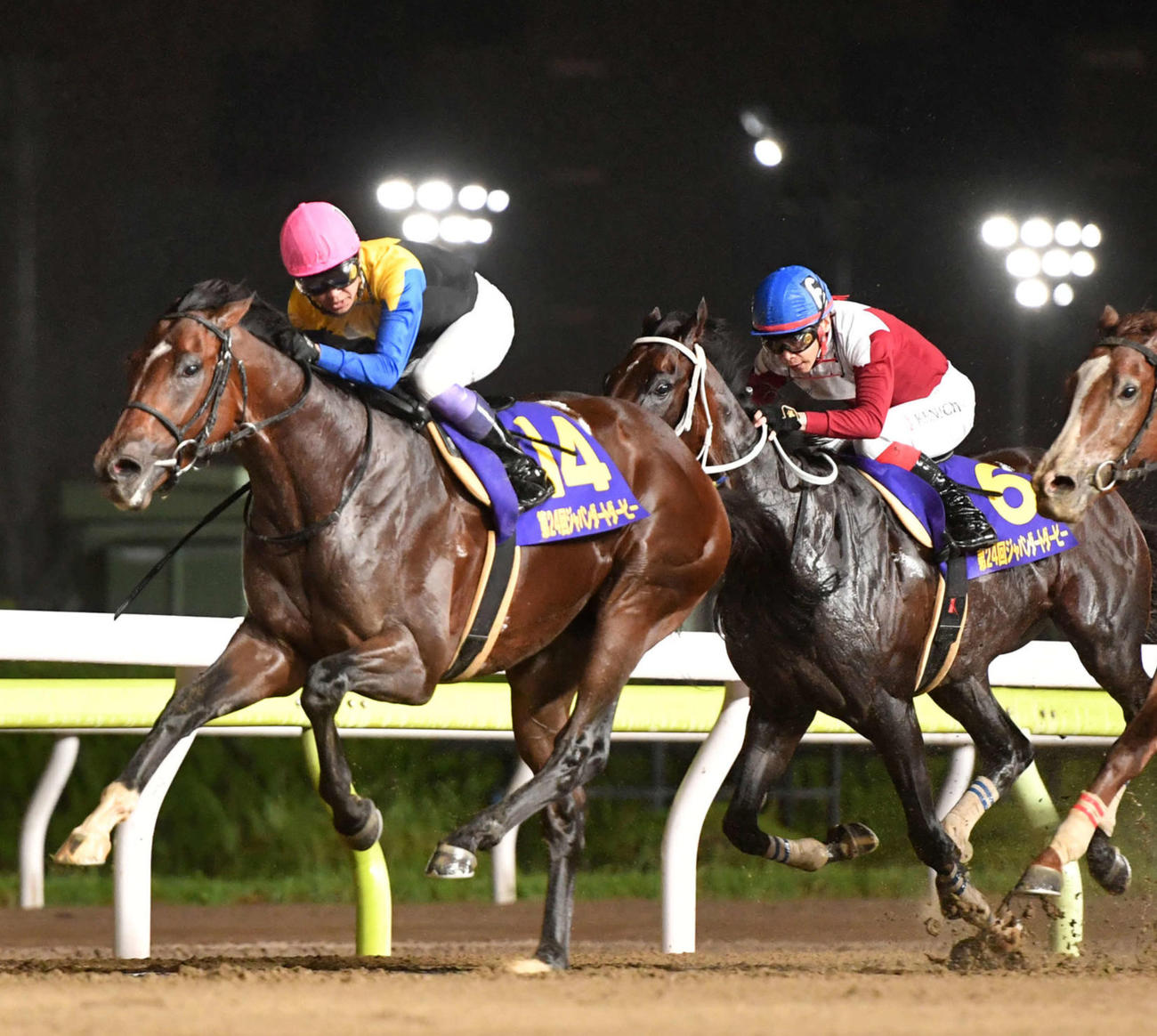 ジャパンダートダービーを制したノットゥルノ（左）、2着ペイシャエス（撮影・柴田隆二）
