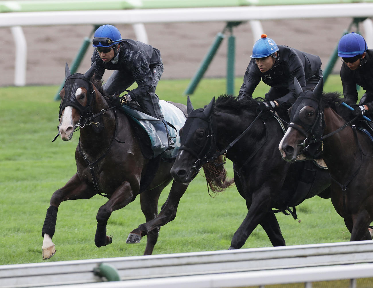 武豊騎手を背に、函館芝コースで併せ馬で追い切られるクリダーム（左端）