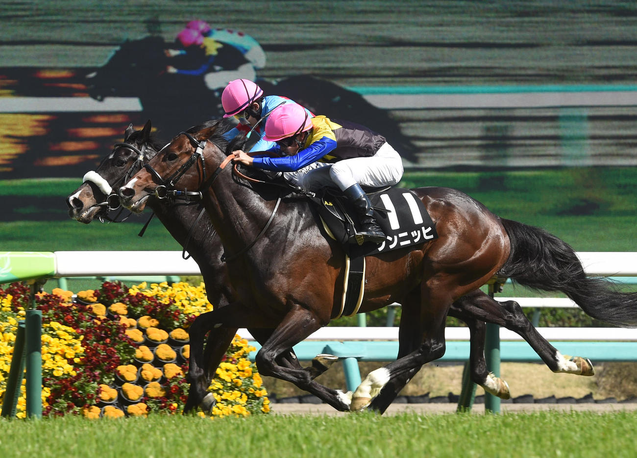 4月10日、鹿野山特別を制したゾンニッヒ