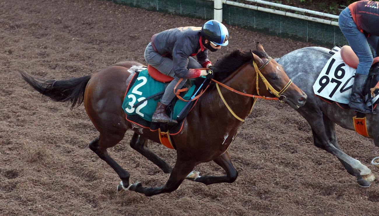併せ馬で坂路をかけあがるネアセリーニ