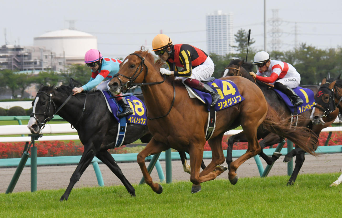 4月17日、皐月賞を制したジオグリフ