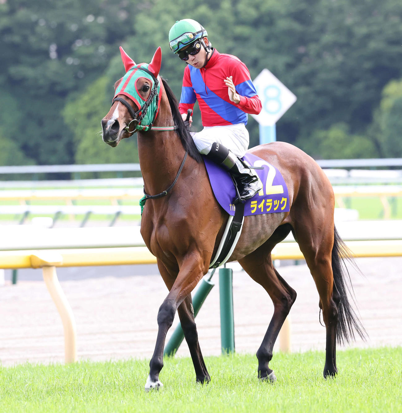 ライラック（2022年5月22日撮影）