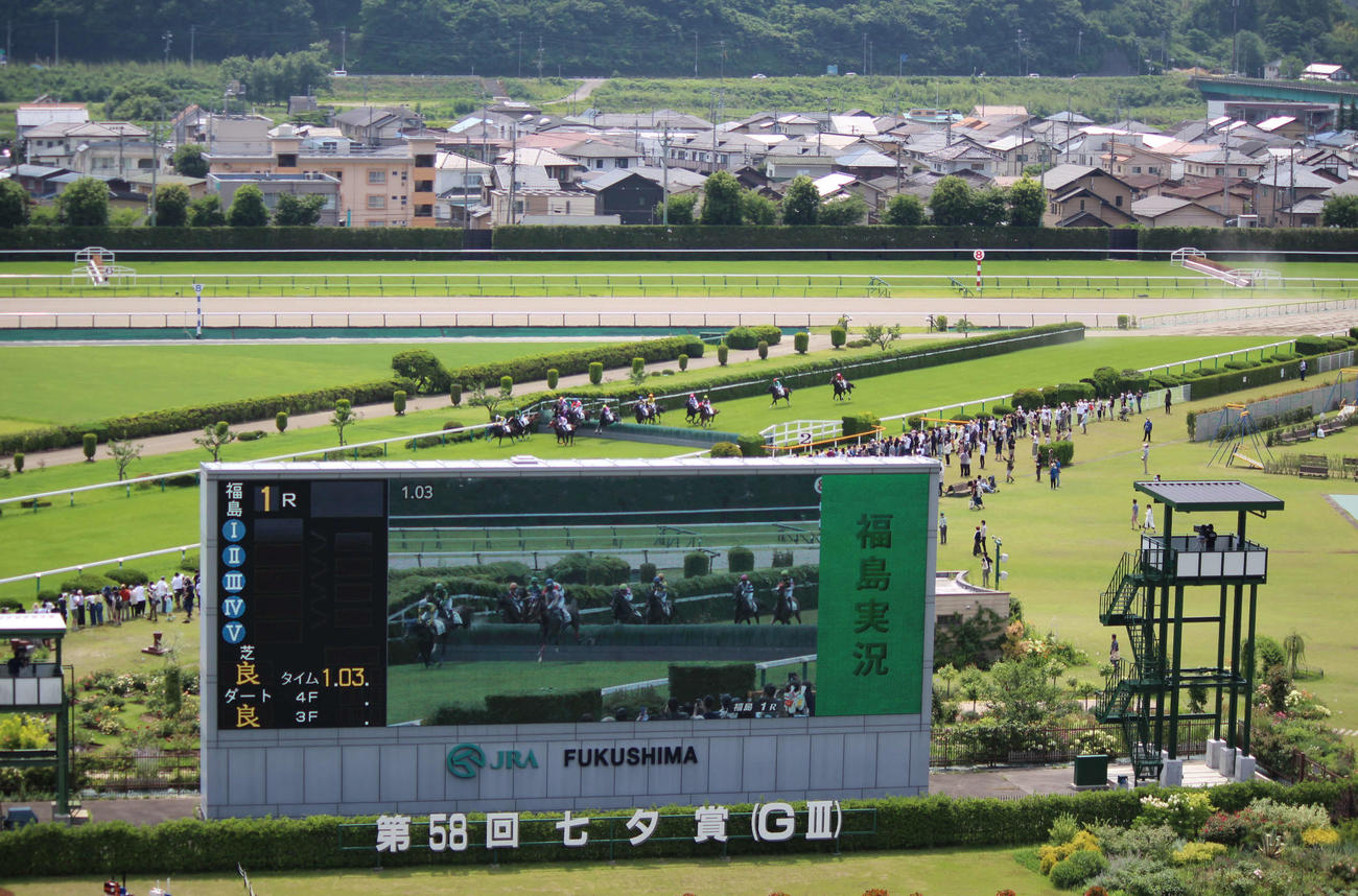 福島競馬場の障害競走のレース風景（撮影・木南友輔）