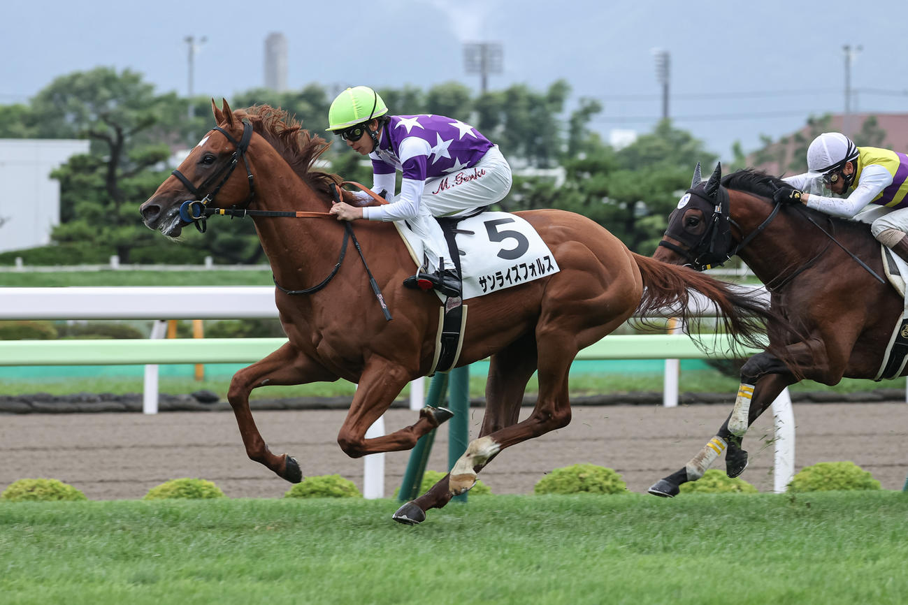 2歳未勝利を勝ち上がったサンライズフォルス（撮影・村野早祐）