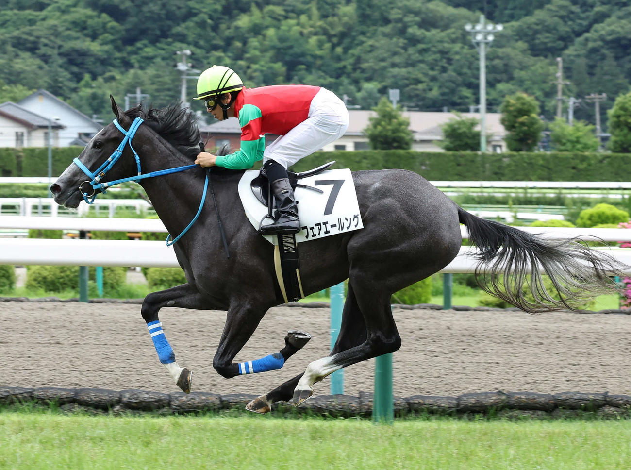 福島5R、デビュー戦を制したフェアエールングと柴田大騎手（撮影・丹羽敏通）