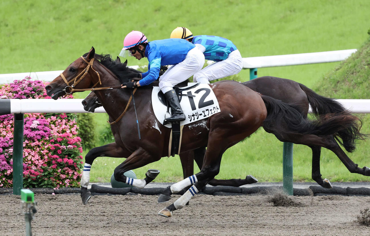福島6R、デビュー戦を制したシナジーエフェクトと戸崎圭太騎手（撮影・丹羽敏通）