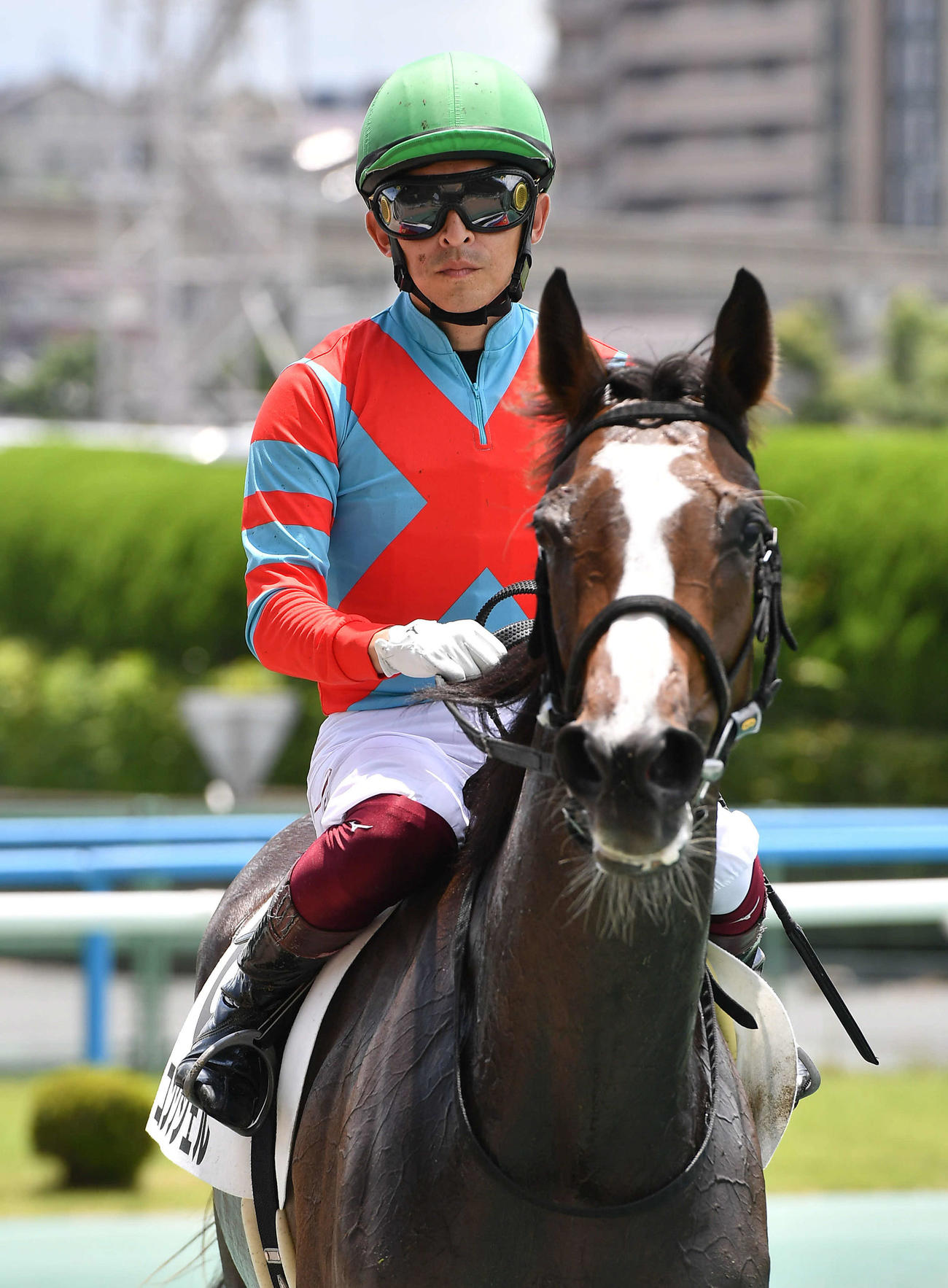 小倉5R新馬戦、1着のコンクシェルと福永祐一騎手（撮影・岩下翔太）