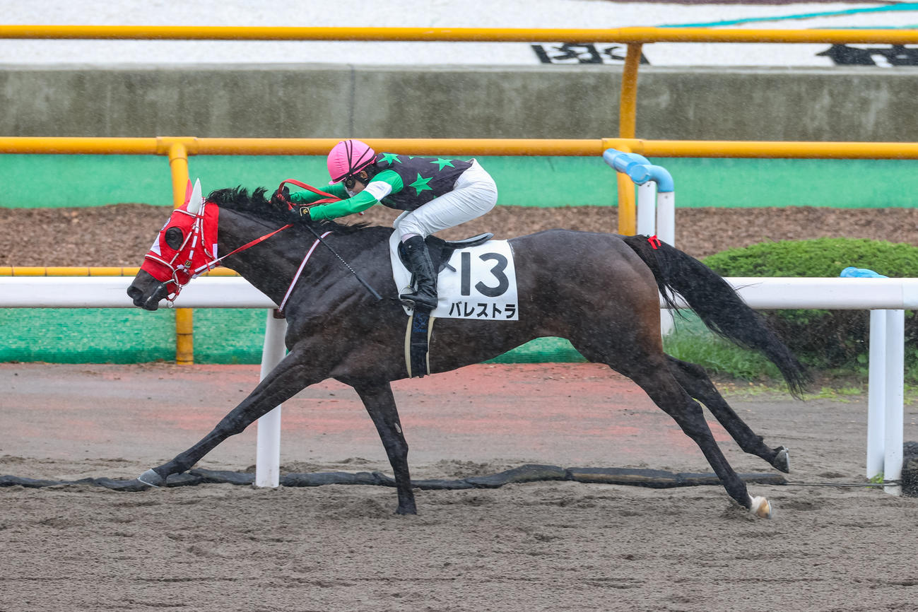 函館6Rをバレストラで勝利する古川奈穂騎手（撮影・村野早祐）
