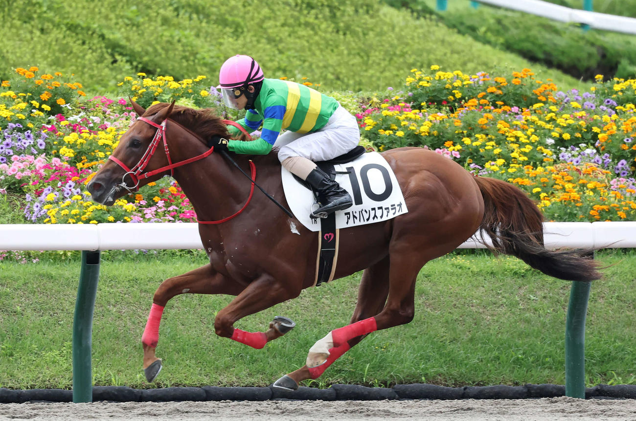 福島1R、2歳未勝利戦を制したアドバンスファラオと松岡騎手（撮影・丹羽敏通）