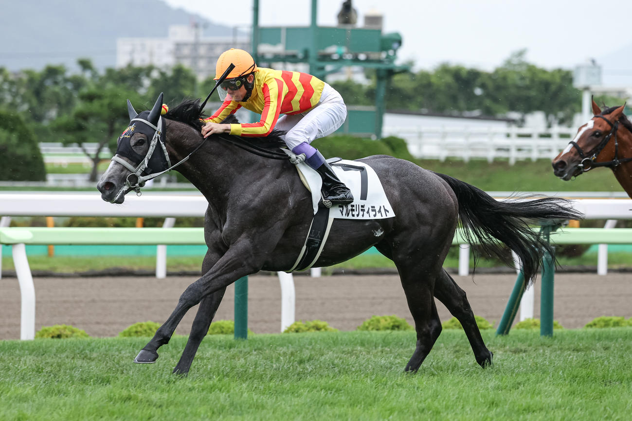 2歳未勝利を勝ち上がったマルモリディライト（撮影・村野早祐）