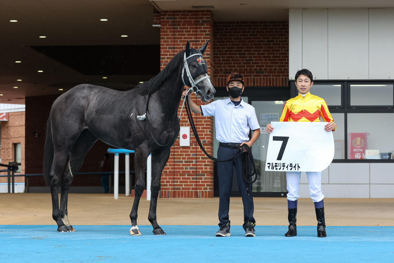 2歳未勝利を勝ち上がったマルモリディライト（撮影・村野早祐）