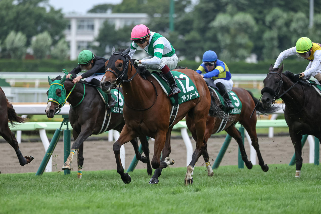 函館2歳Sを制し世代最初の重賞馬となったブトンドール（22年7月16日撮影）