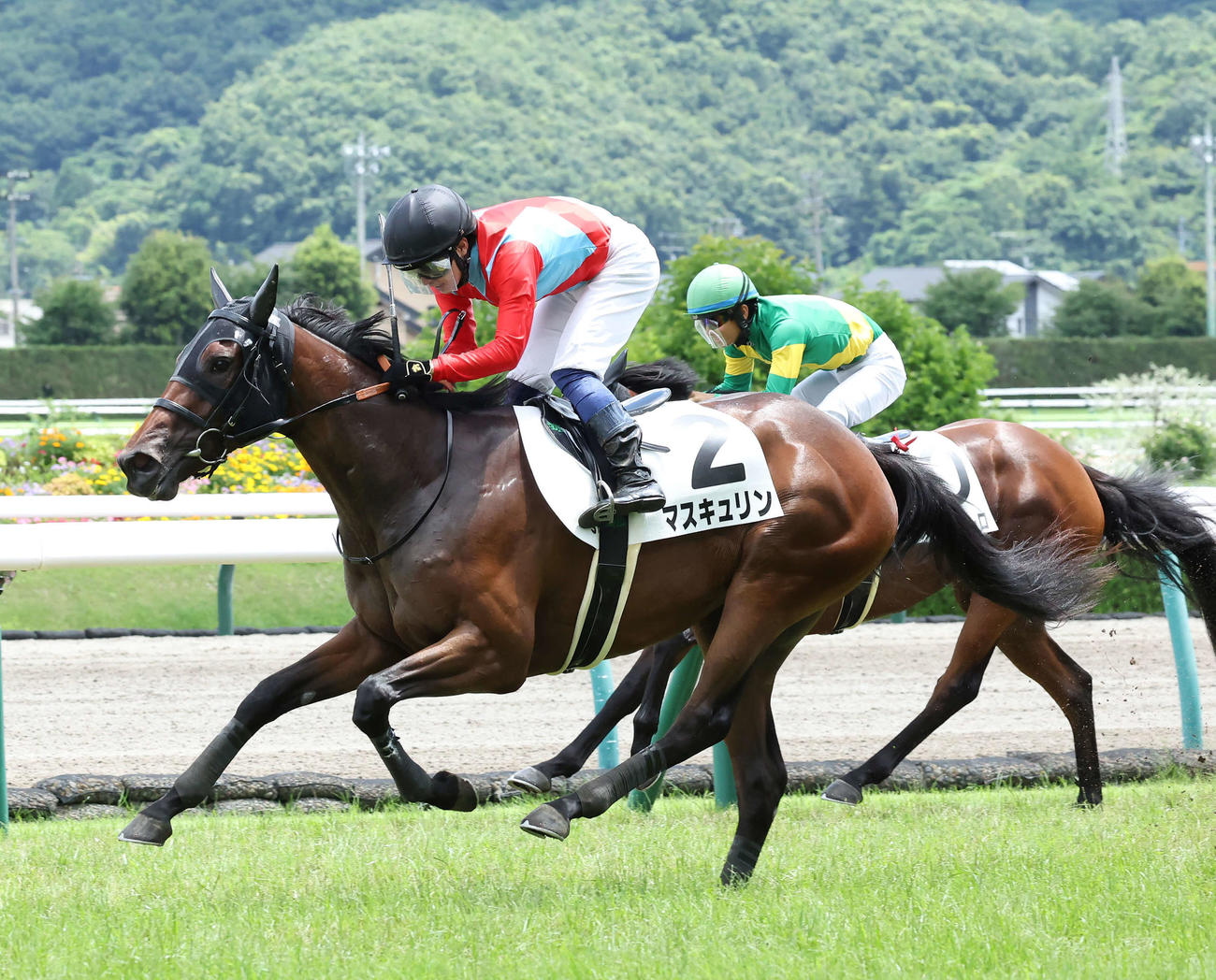 福島5R、デビュー戦を制したマスキュリンと武藤騎手（撮影・丹羽敏通）