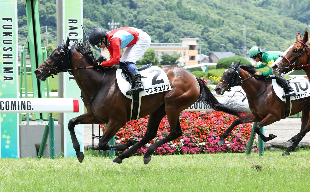 福島5R、デビュー戦を制したマスキュリンと武藤騎手（撮影・丹羽敏通）