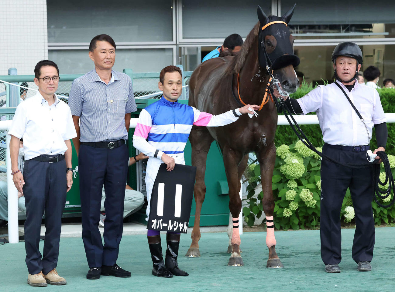 オパールシャルムの口取りをする武藤師（左端）と江田照騎手（同3人目）（撮影・丹羽敏通）