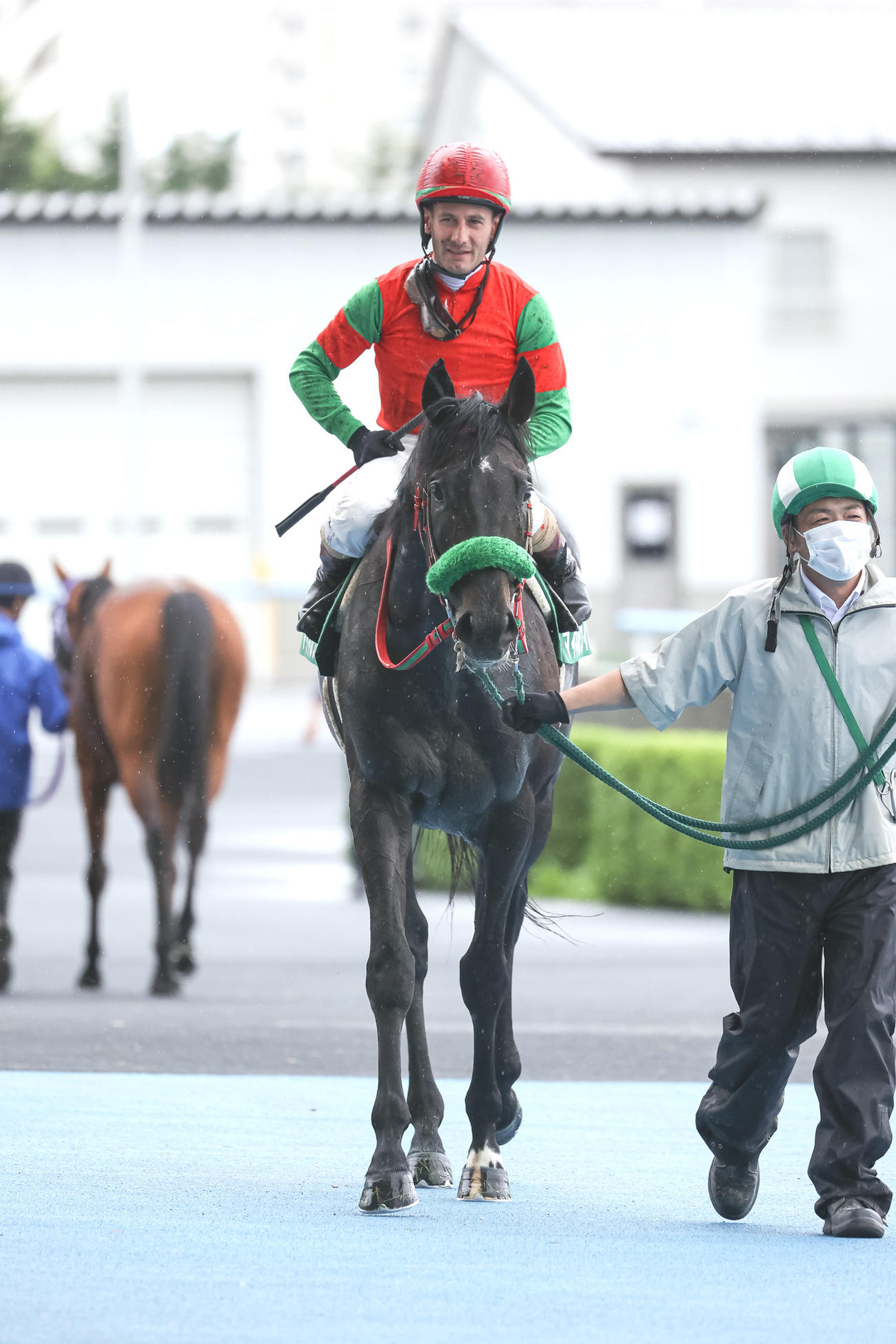 2着に敗れた1番人気のマイネルウィルトス（撮影・村野早祐）