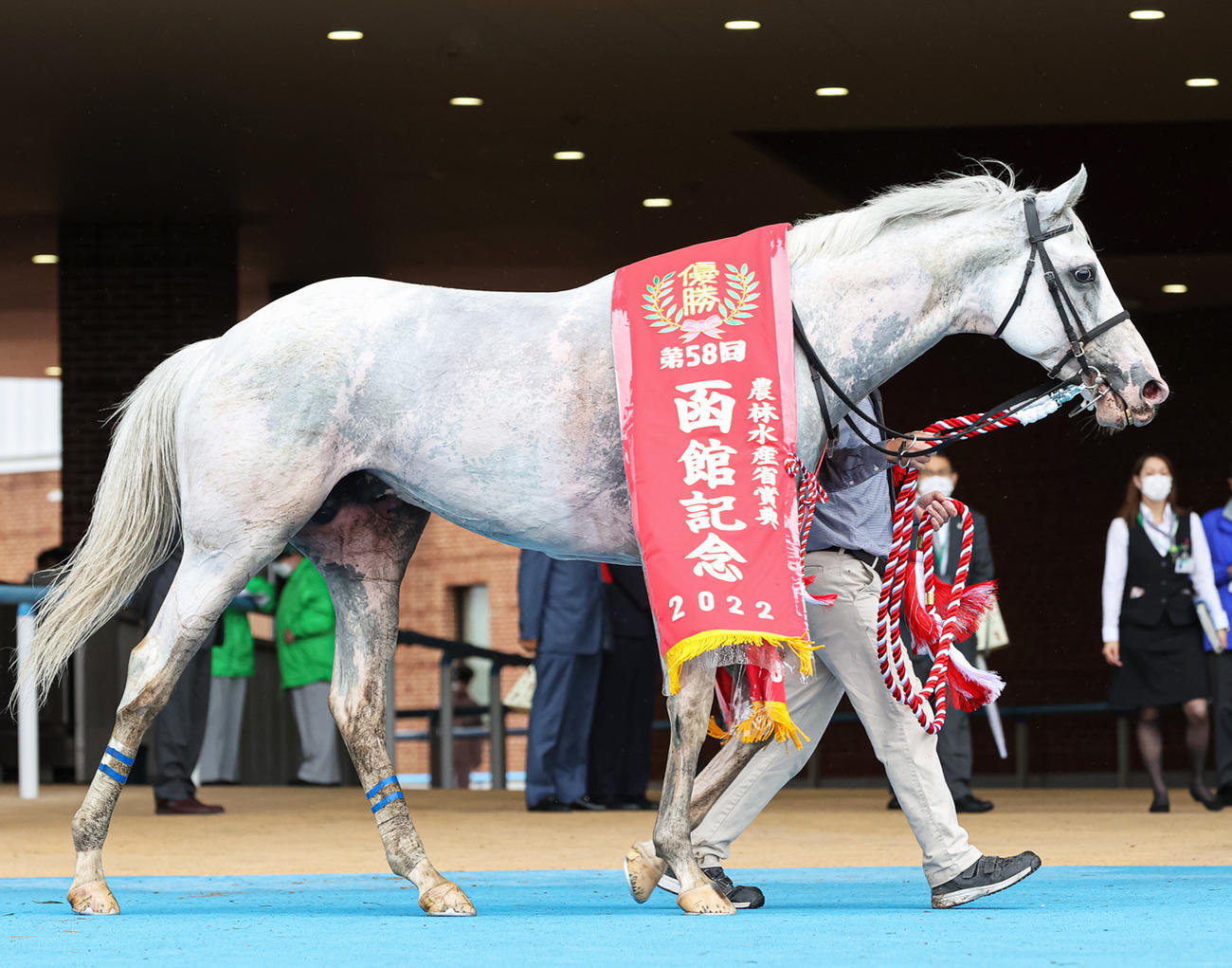 函館記念を制し優勝レイをかけられたハヤヤッコ（撮影・村野早祐）