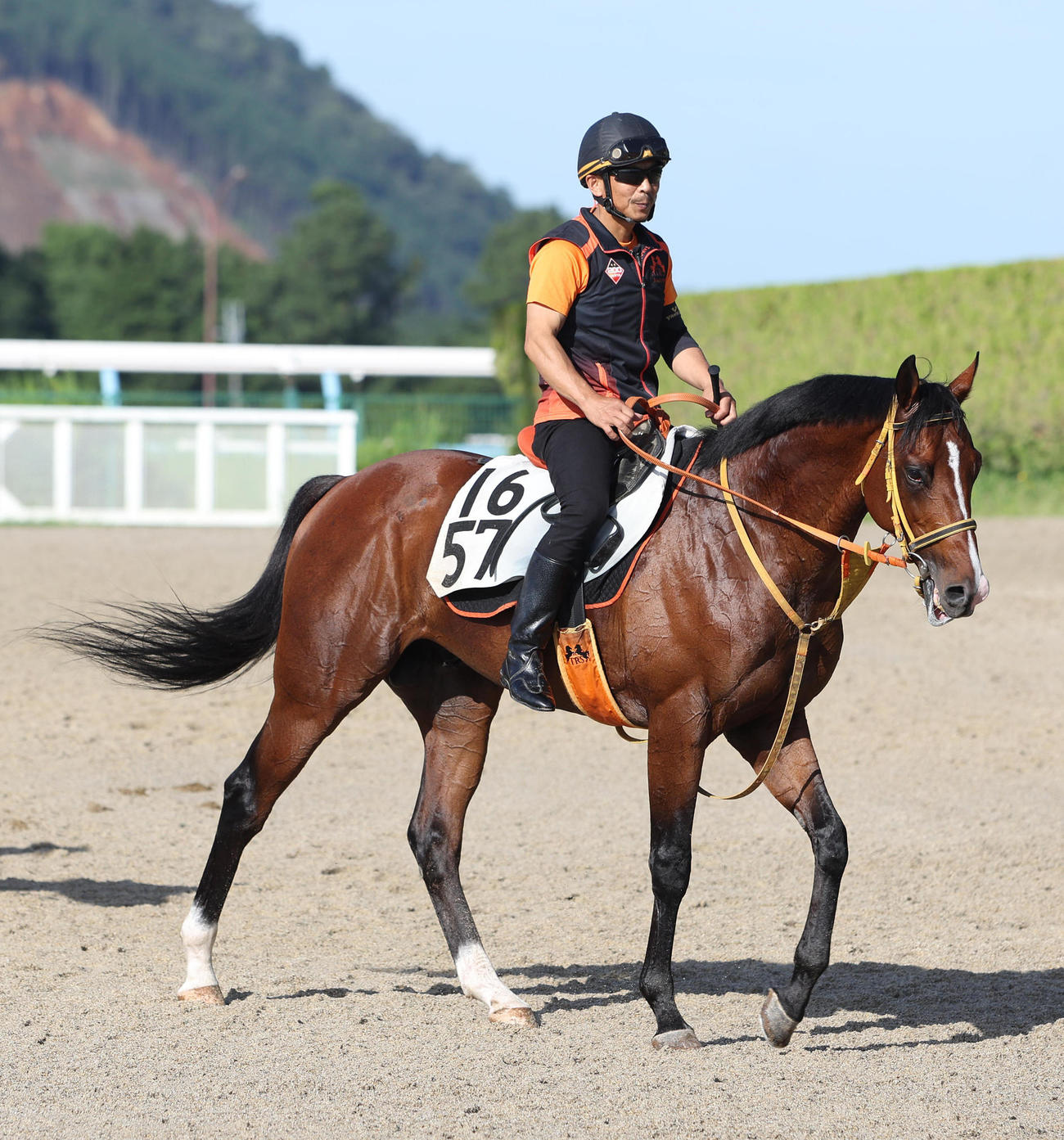 ファルコニア（2022年7月13日撮影）