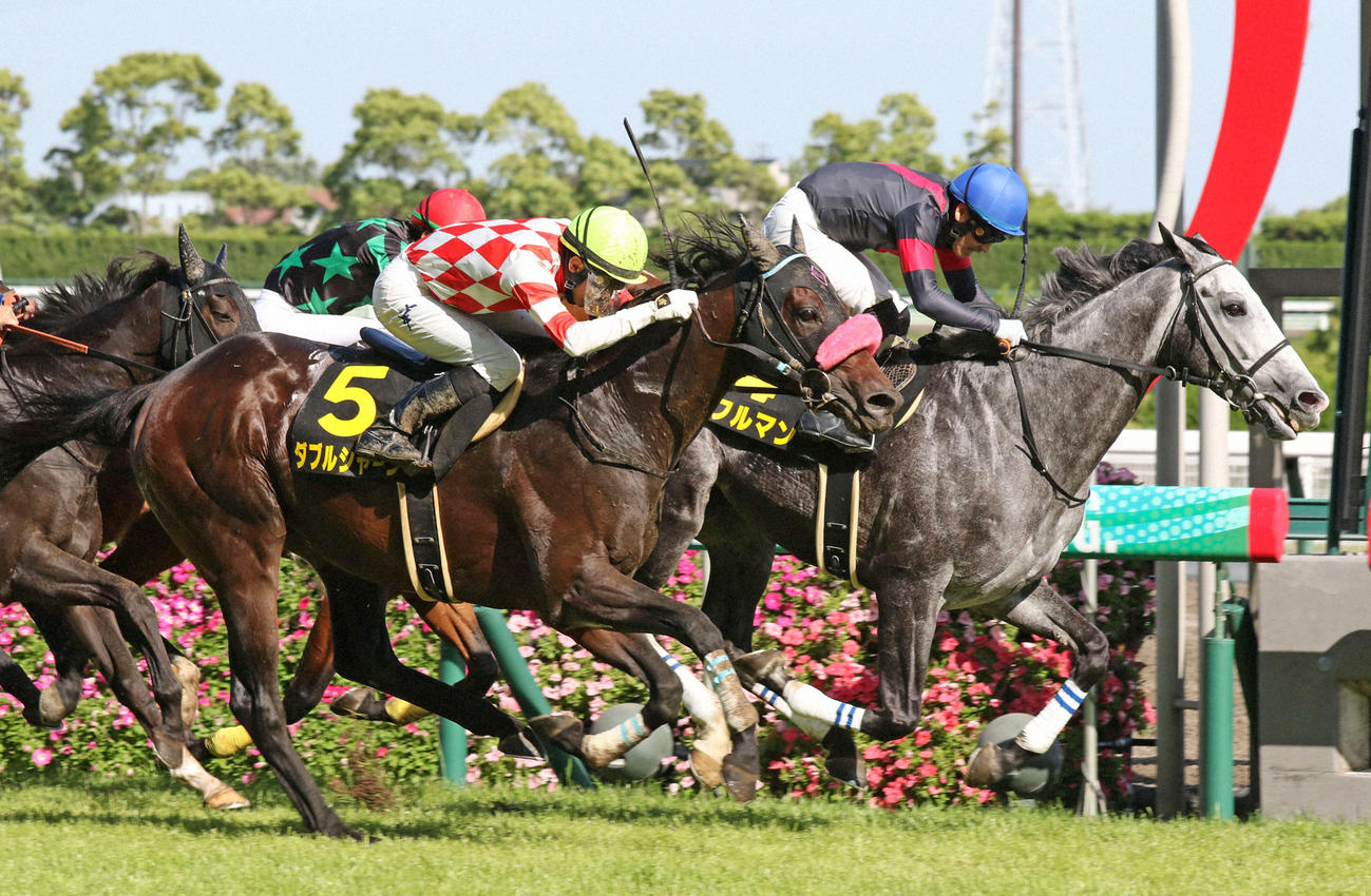 都大路S2着に敗れたダブルシャープ。右は勝ったシフルマン（2022年5月14日撮影）