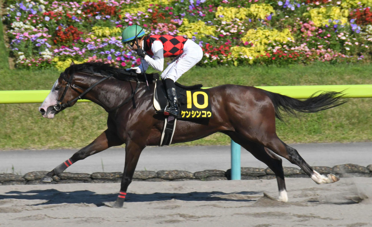 昨年のジュライS、直線抜け出したケンシンコウが、後続に5馬身差をつけ圧勝（21年7月17日撮影）