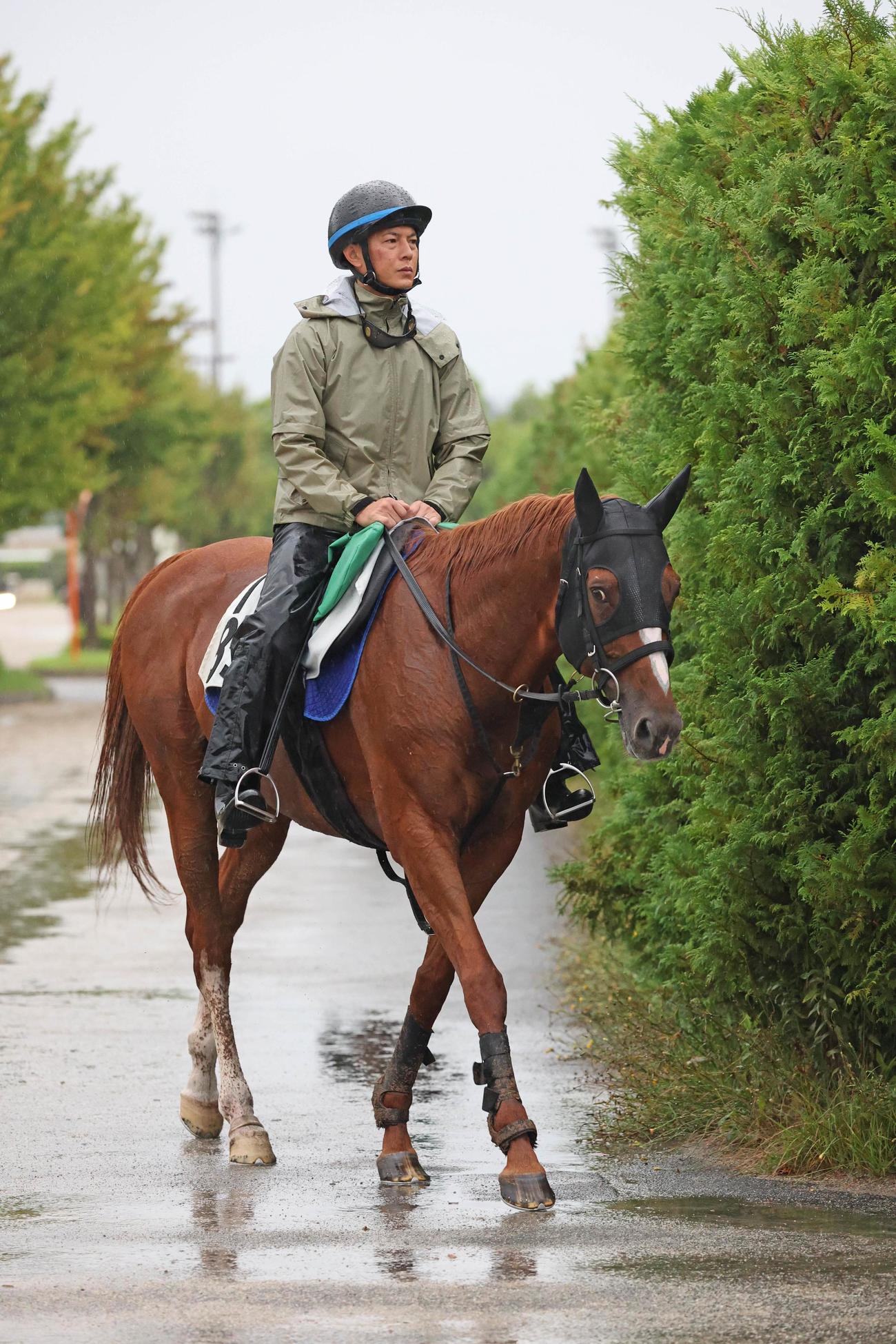 10歳馬のベステンダンク（2022年7月19日撮影）