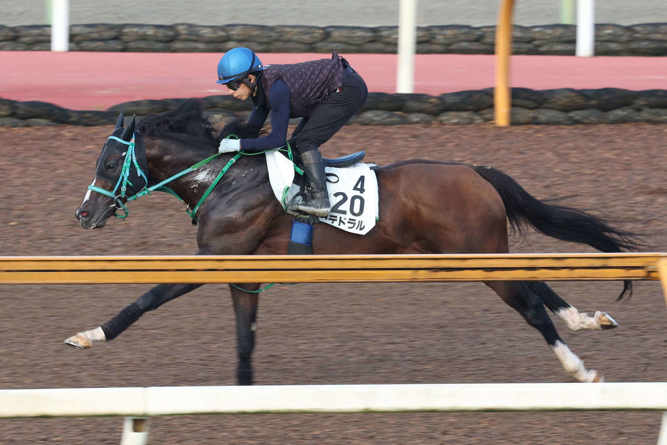 団野騎手が騎乗し、Cウッドで速いラップを刻んだカテドラル