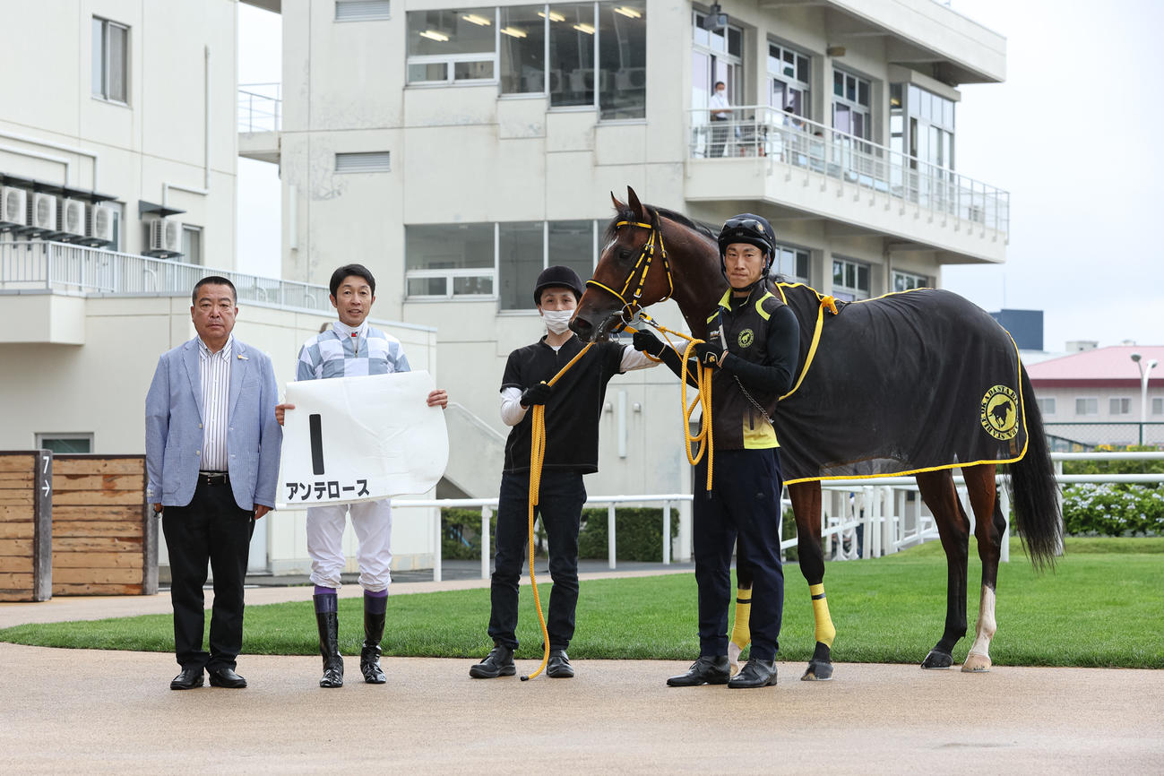 2歳未勝利を勝ち上がったアンテロース（撮影・村野早祐）