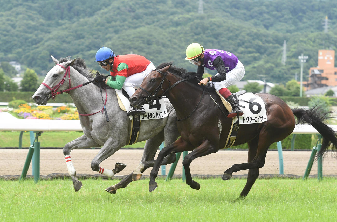 福島2R　1着ゴールデンハインド（左）、2着トクシーカイザー（撮影・柴田隆二）