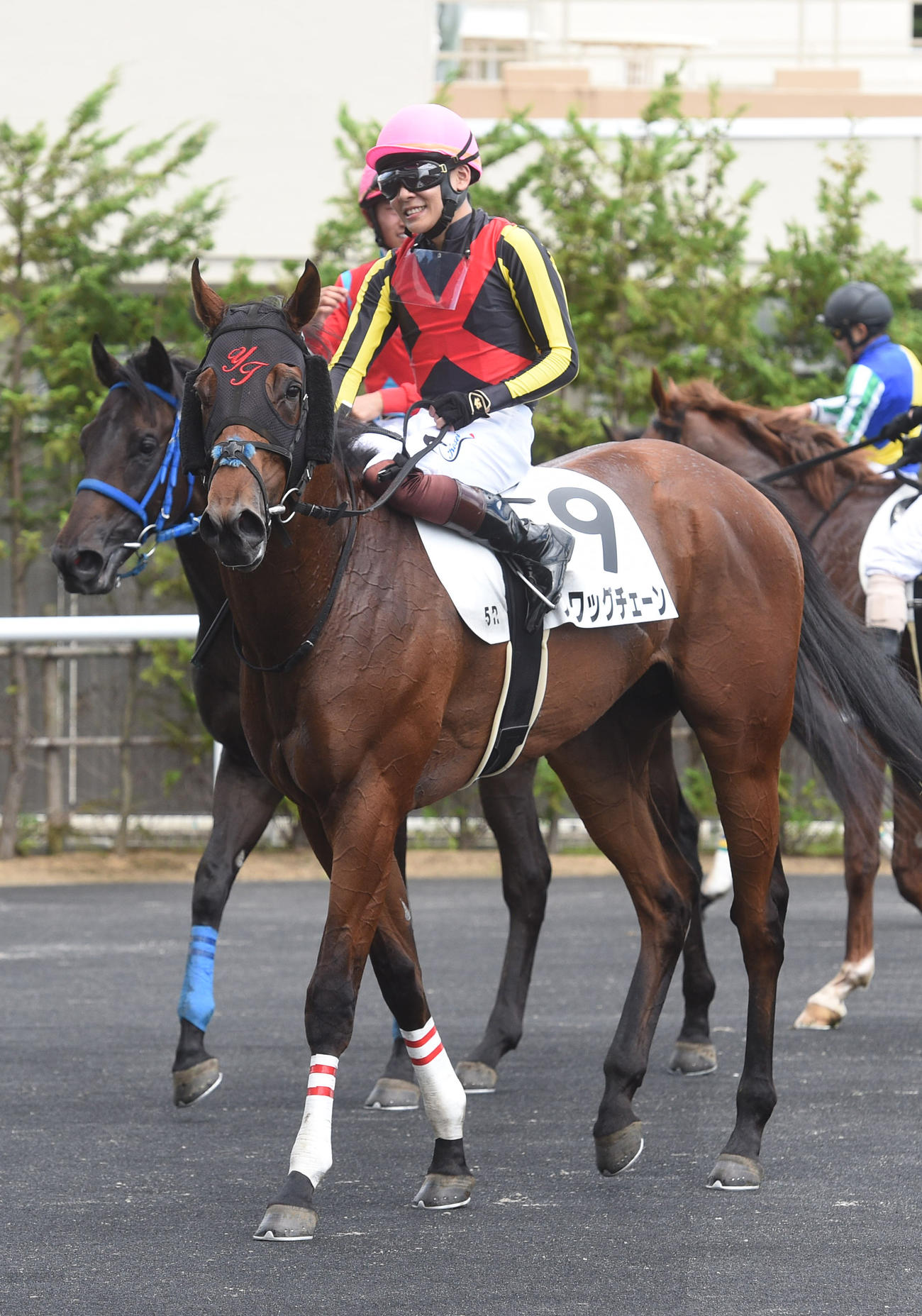 5R、新馬戦3着スワッグチェーンと三浦騎手（撮影・柴田隆二）