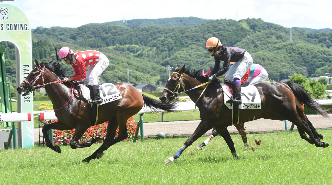 福島6R、新馬戦を制したデイドリームビーチ（左）。右は2着マーレアペルト（撮影・柴田隆二）