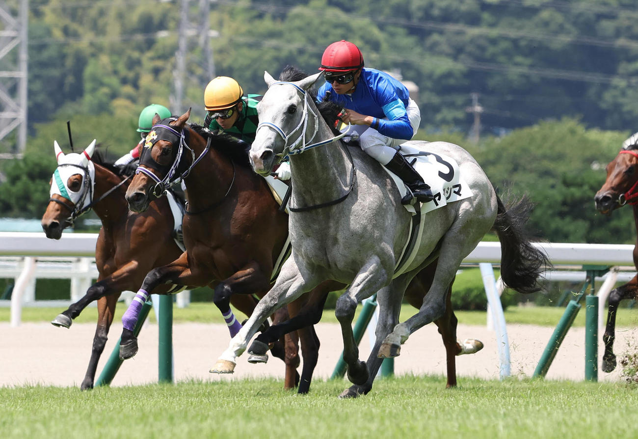 直線外から伸びて新馬戦を快勝したヤクシマ（右）（撮影・白石智彦）