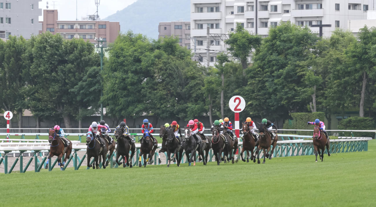 しらかばSを逃げ切ったミニオンペール（撮影・村野早祐）
