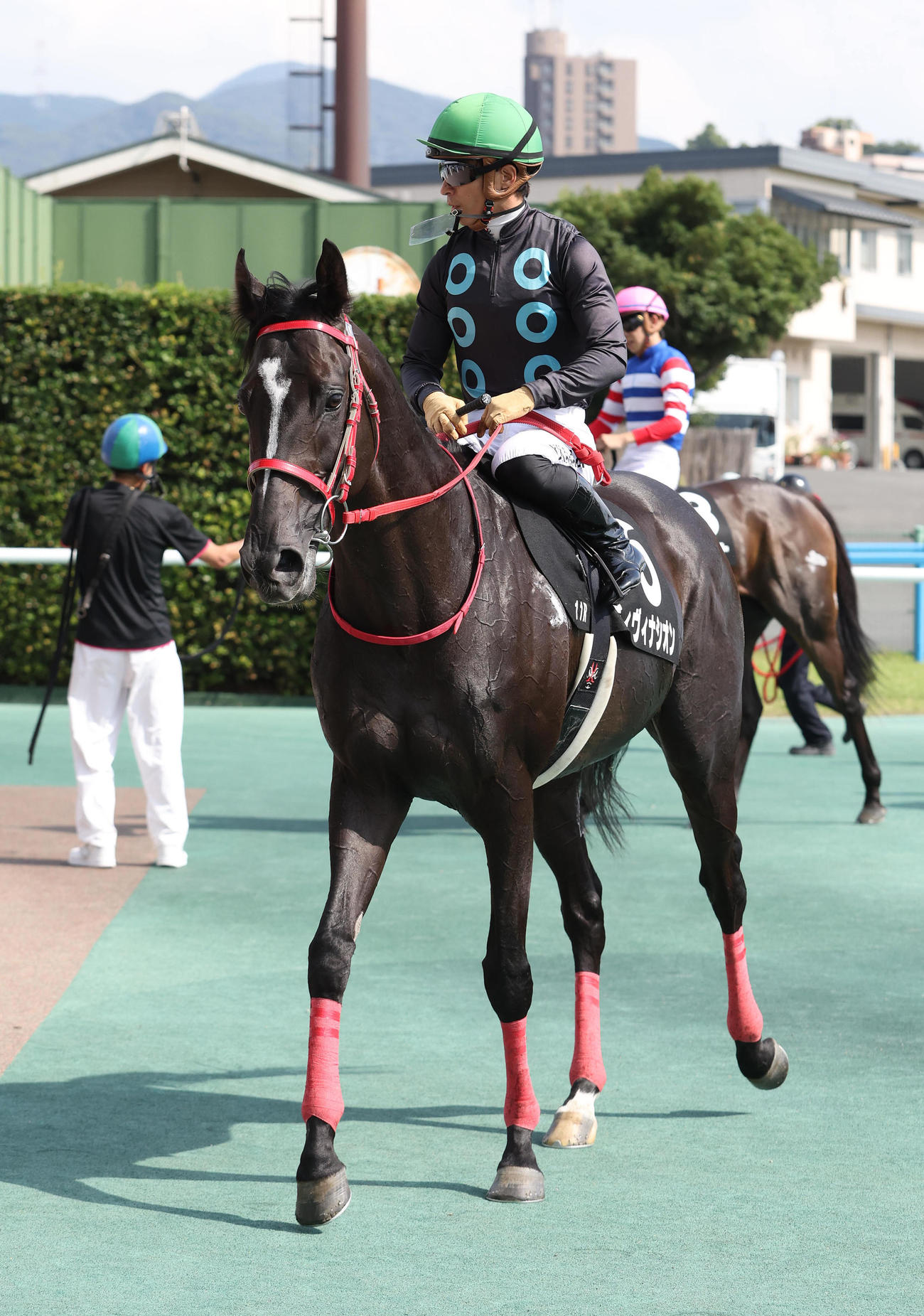 佐世保Sを制し引き揚げるディヴィナシオンと川田騎手（撮影・白石智彦）