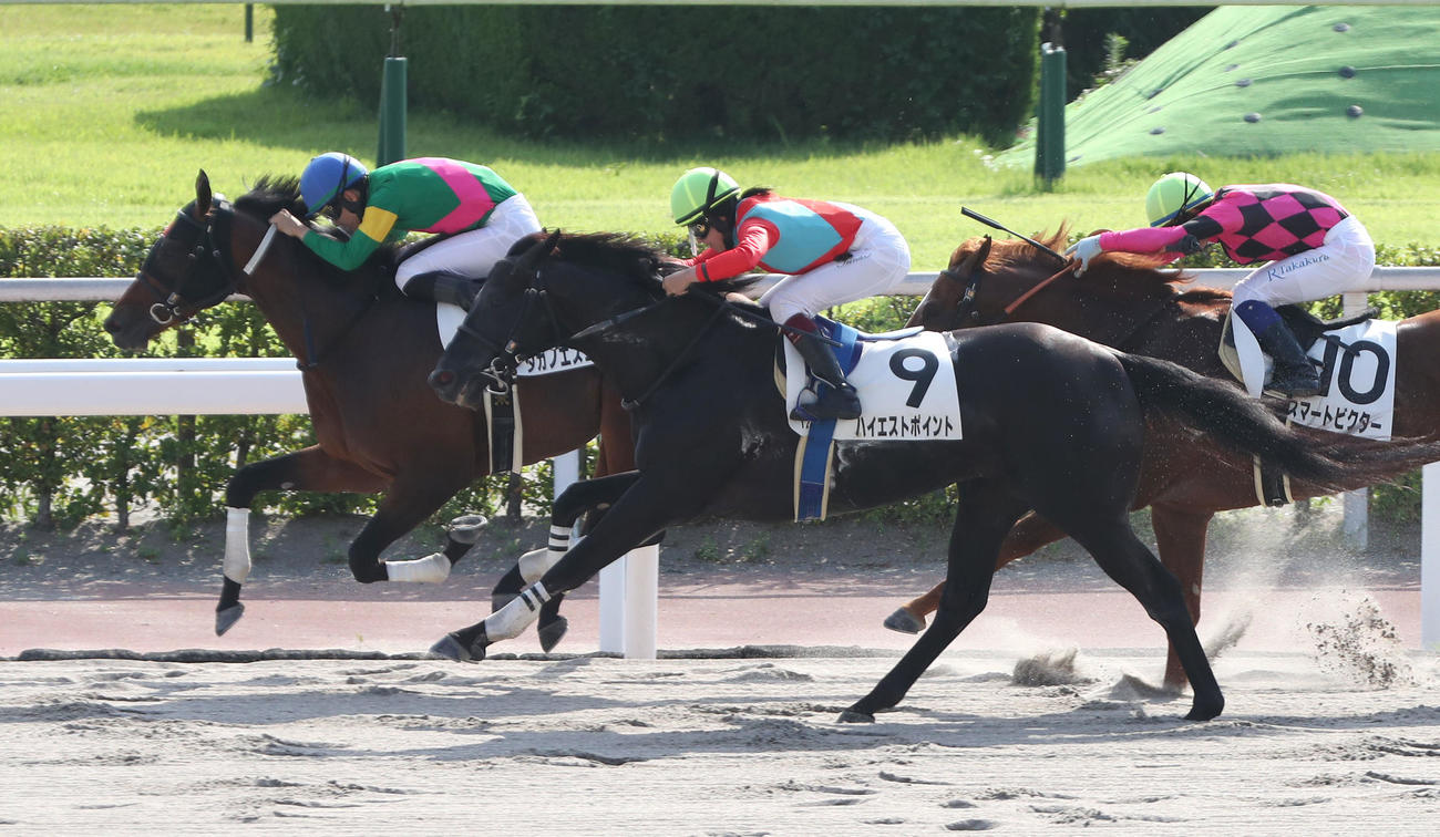 小倉12Rで2着に入った今村聖奈騎手騎乗のハイエストポイント（撮影・白石智彦）