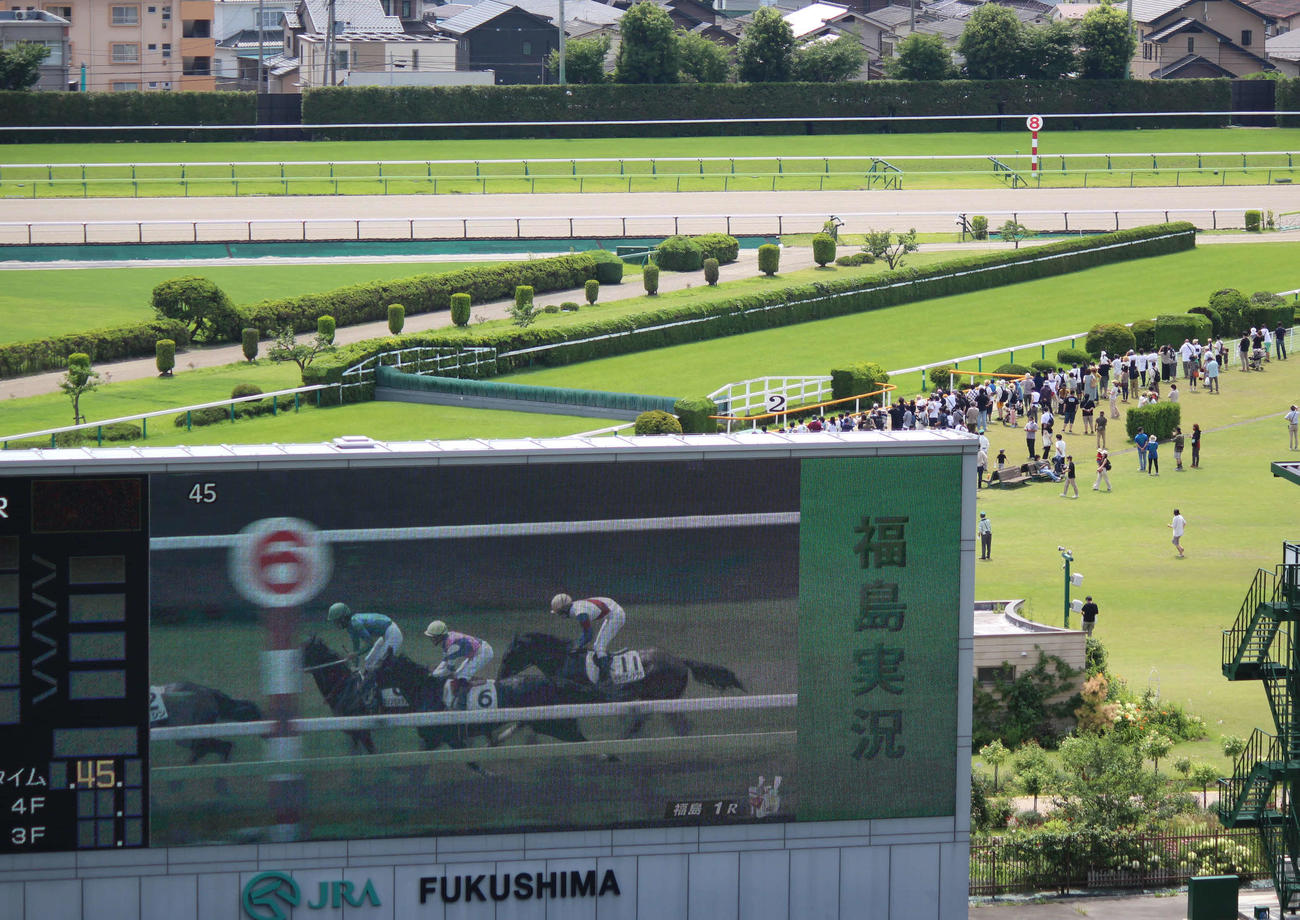 福島のレース風景。ジャディード（スクリーンの6番ゼッケン）は中1週で初勝利を狙う