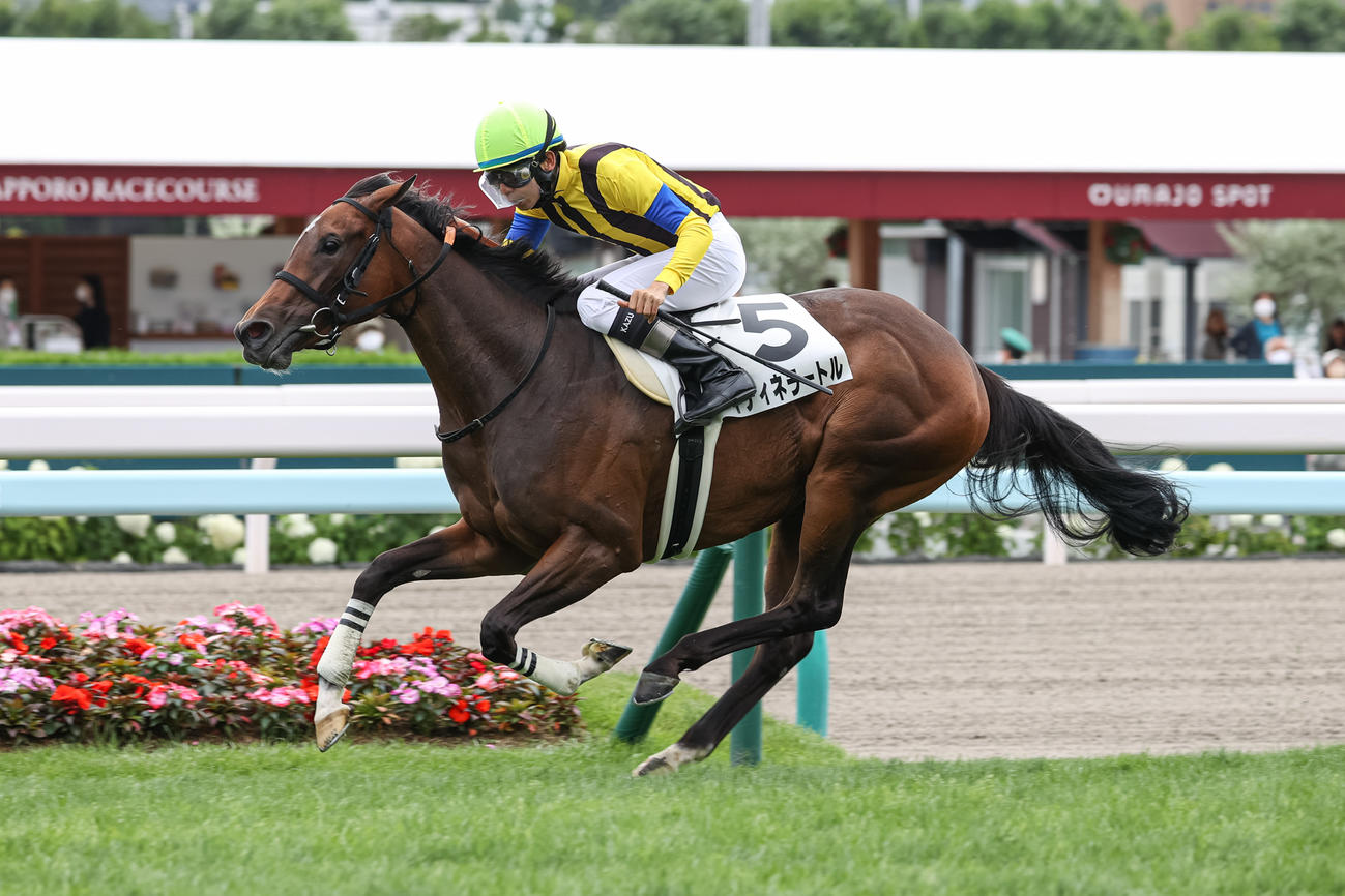 2歳未勝利を勝ち上がったイティネラートル（撮影・村野早祐）