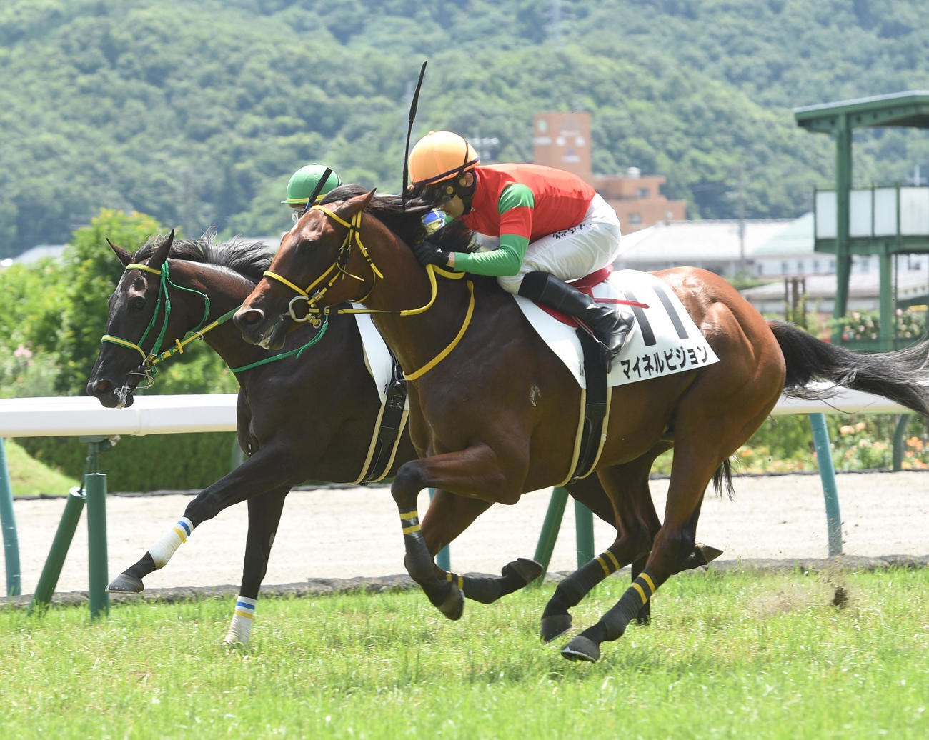 福島3R　1着マイネルビジョン（手前）、2着マイレーヌ（撮影・柴田隆二）