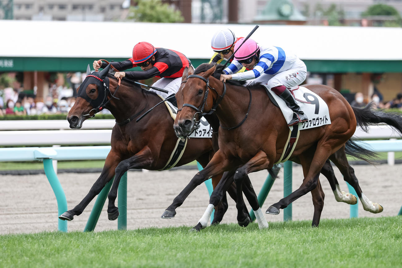 ドゥアイズ（左）がデビュー戦を制した（撮影・村野早祐）