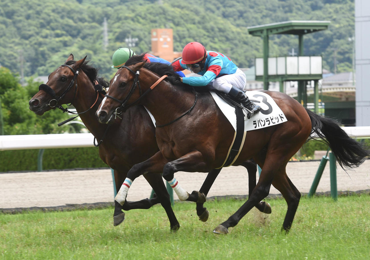 福島5R　新馬戦を制したラパンラピッド（手前）、2着シンキングサベージ（撮影・柴田隆二）
