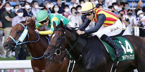 重賞初制覇を飾ったオールアットワンス（2021年、アイビスサマーダッシュ）