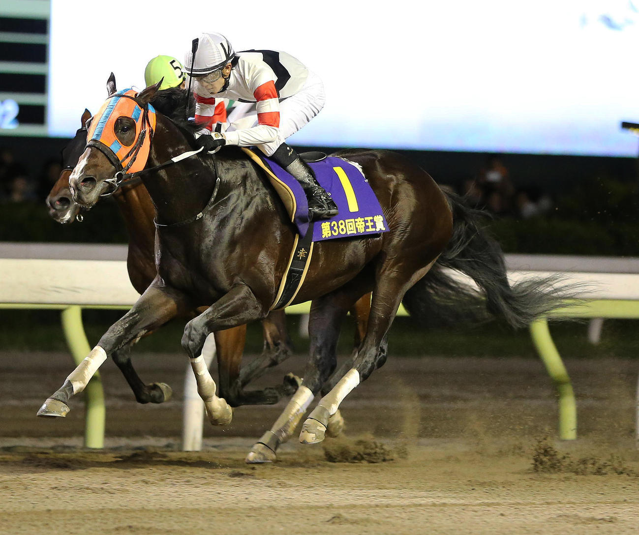 2着のクリソライト（左奥）を抑え、帝王賞を制するホッコータルマエ（2015年6月24日撮影）