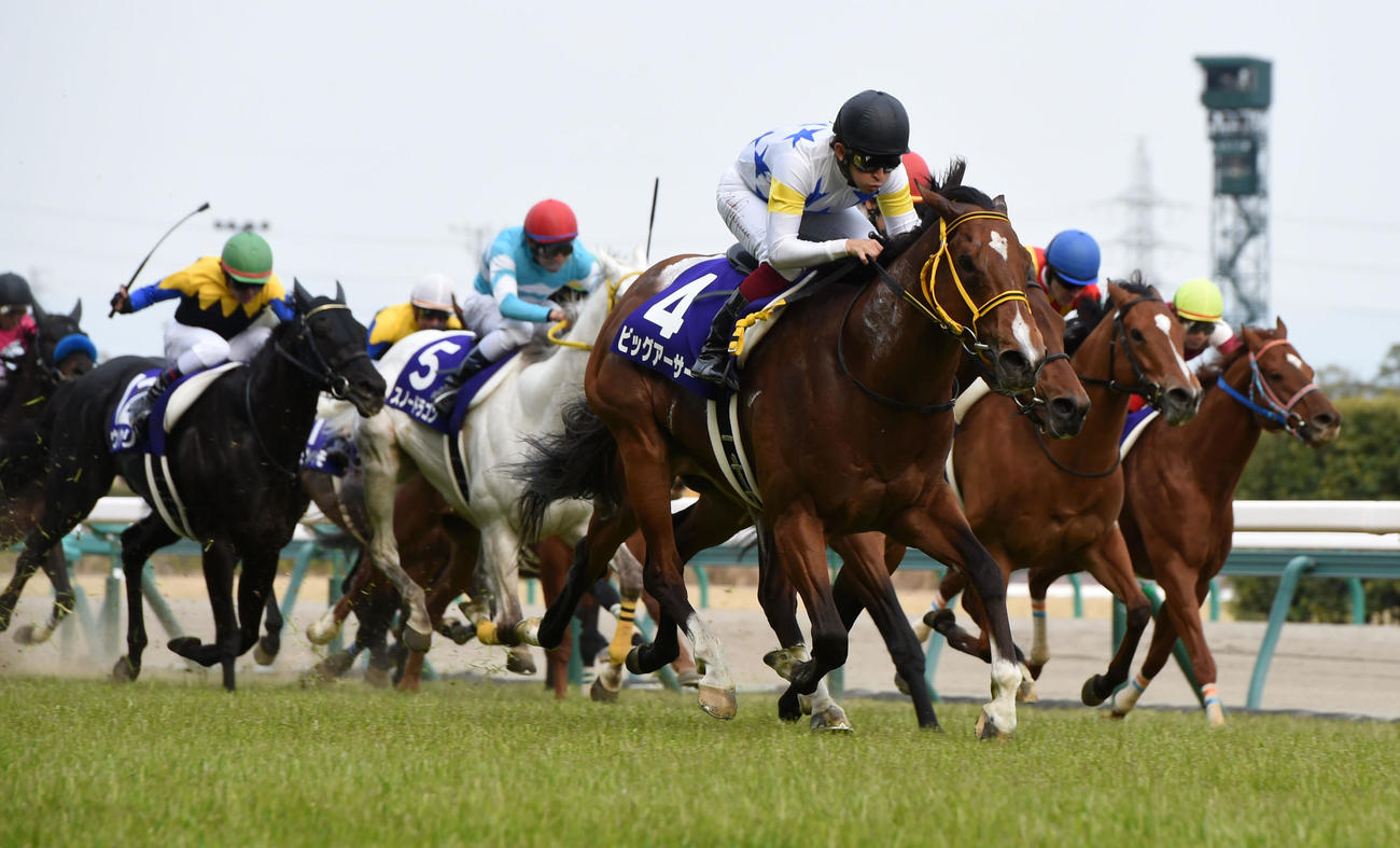 直線で抜け出し高松宮記念を制したビッグアーサー（2016年3月27日撮影）