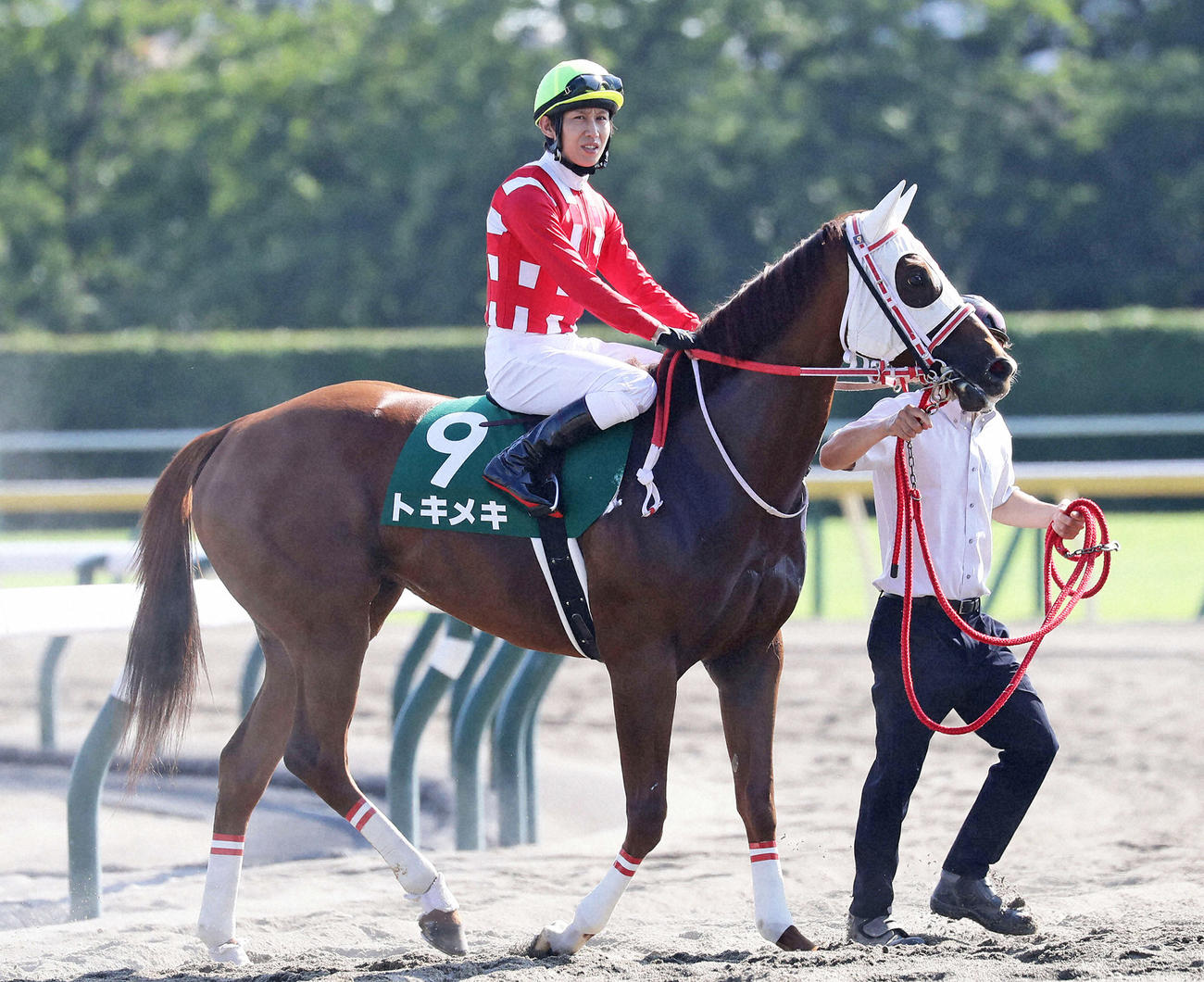 昨年のアイビスSDで4着に敗れたトキメキと田辺騎手（2021年7月25日撮影）