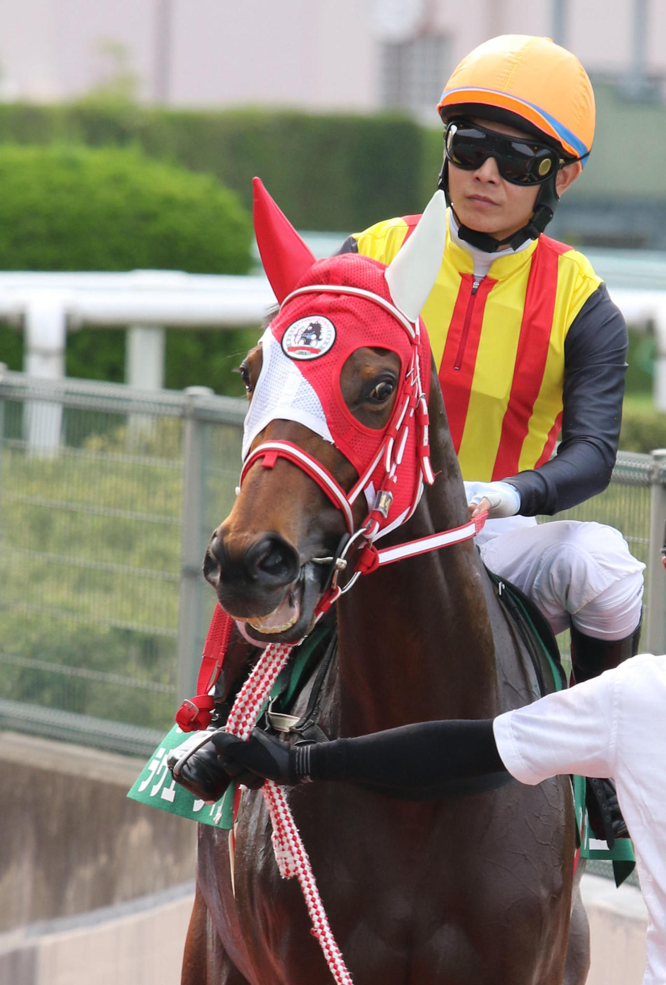 ラヴユーライヴ（2022年6月19日撮影）